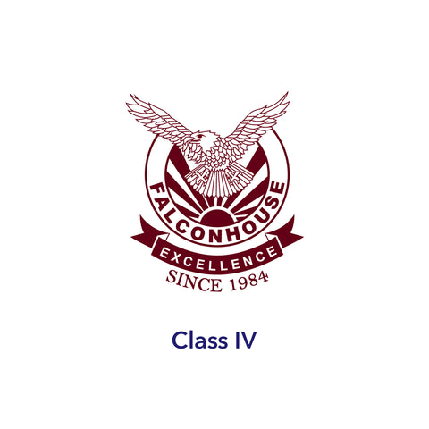 Class IV