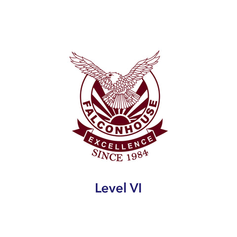 Level VI