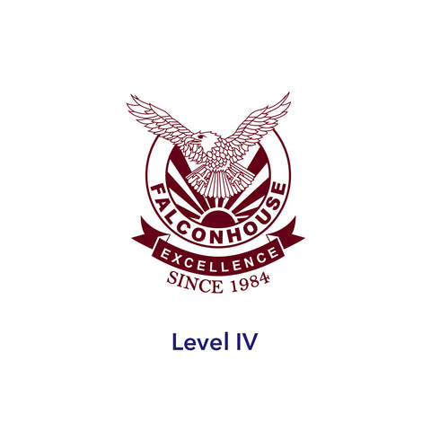 Level IV