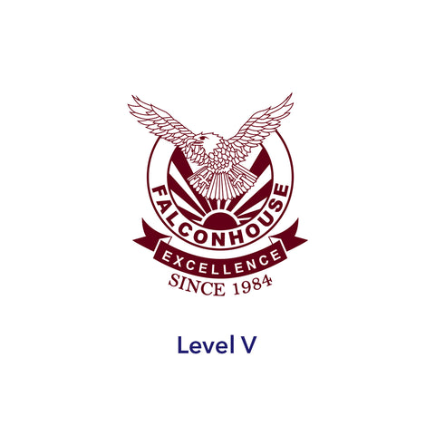Level V
