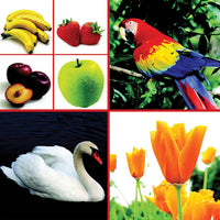 Meray Itnay Sary Rung [Book Group] Tariq Book Store