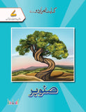 Shajar Urdu Silsila: Sanober Grade 7 [Kifayat] Tariq Book Store.