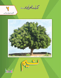 Shajar Urdu Silsila: Neem Grade 6 [Kifayat] Tariq Book Store.