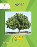 Shajar Urdu Silsila: Neem Grade 6 [Kifayat] Tariq Book Store.