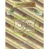 DARS - E - QURAN (BIG) PART - 2