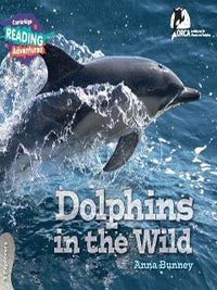 DOLPHINES IN THE WILD