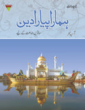 HAMARA PYARA DEEN 7