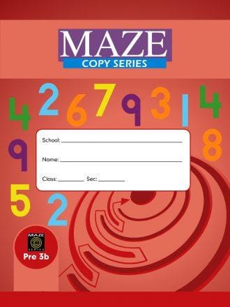 MAZE COPY SERIES - 3B