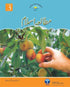 Mutala E Islam Book 3 (Sun Series)
