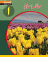 Mutala E Islam Book 1 (Iqbal Series)