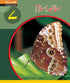 Mutala E Islam Book 7 (Iqbal Series)
