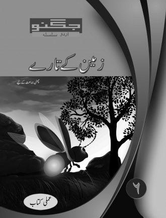 ZAMEEN KE TAARAY (JUGNOO) AMLI - 6